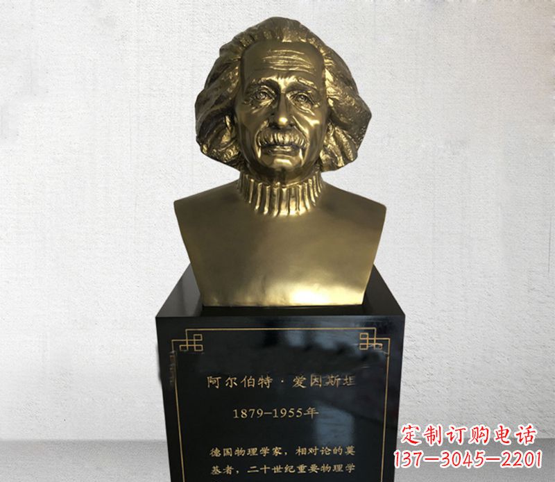 太原爱因斯坦胸像铜雕