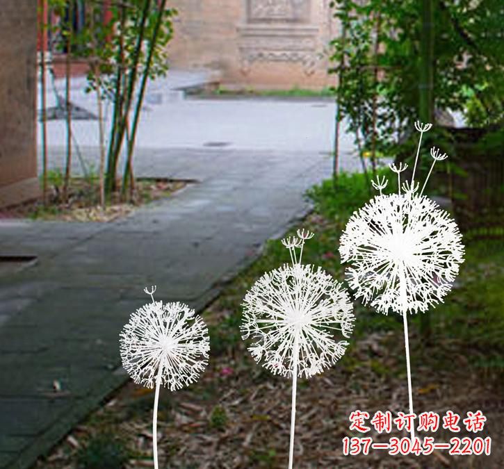 太原不锈钢蒲公英点亮城市之美