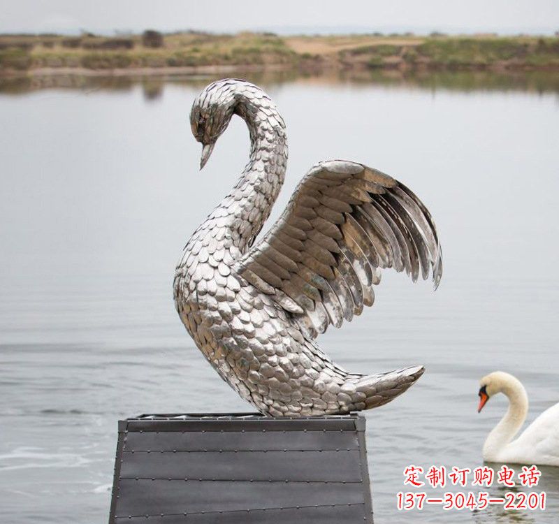 太原不锈钢雕刻的优雅天鹅