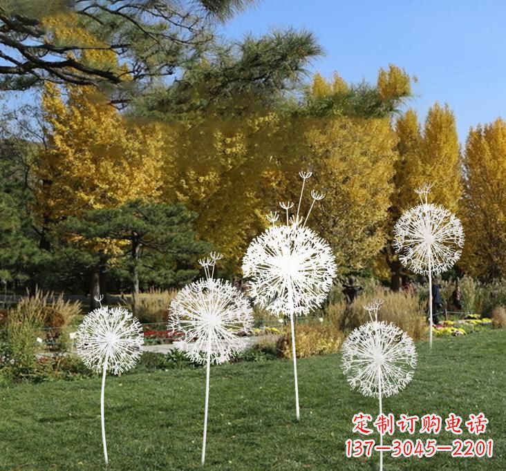 太原不锈钢蒲公英景观雕塑艺术与美的完美结合