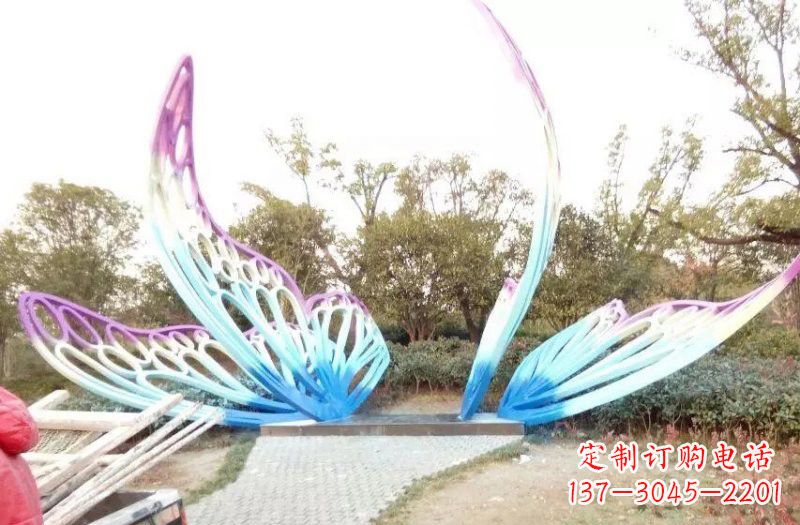 太原彩色不锈钢蝴蝶