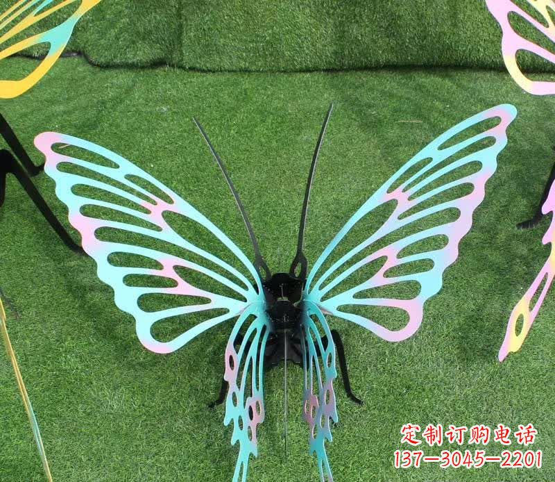太原彩色不锈钢镂空蝴蝶雕塑精美又充满生机