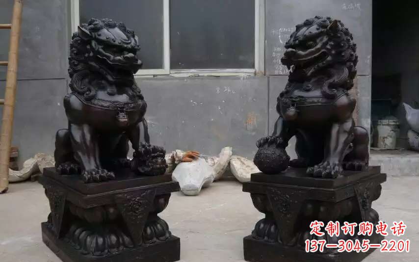 太原踩球镇的狮子之家