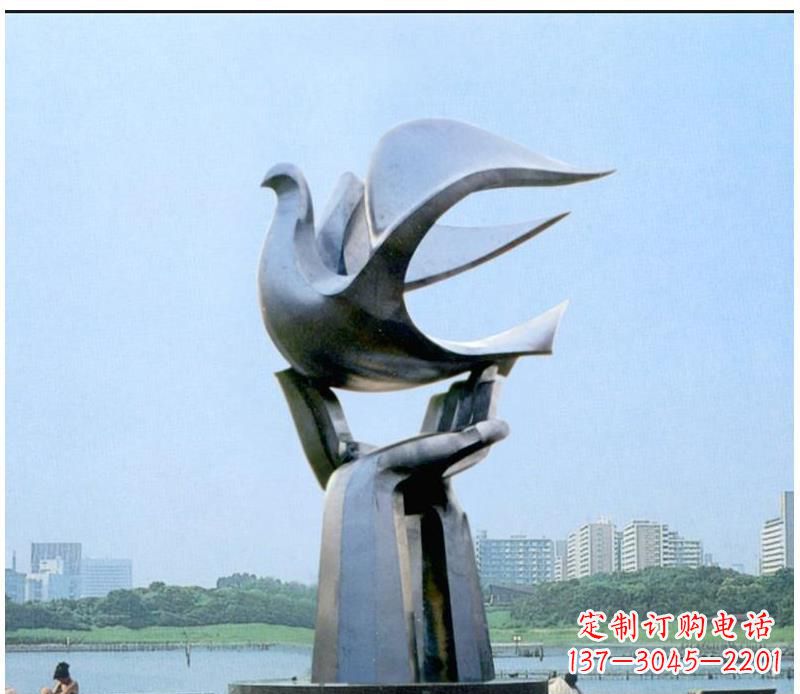 太原静谧之鸽,传递和平象征~