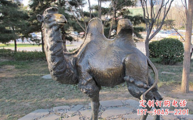 太原铜骆驼雕塑——浓缩自然美丽