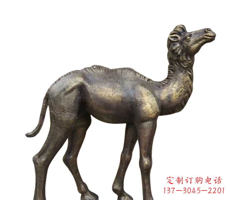 太原奇美洁净的骆驼铜雕