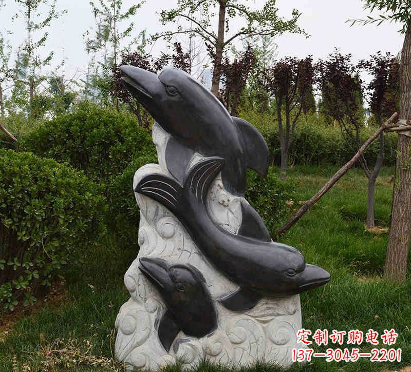 太原特色海豚雕塑,带您体验最真实的海洋梦想
