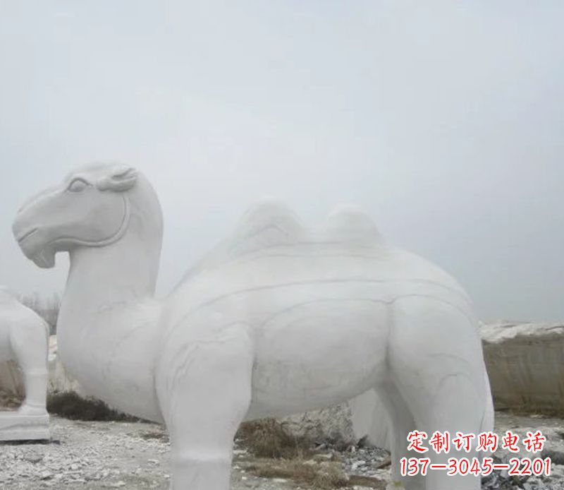 太原汉白玉骆驼石雕塑,装点家居空间
