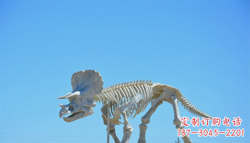 太原玻璃钢恐龙雕塑——悠久历史瑰宝
