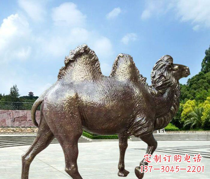 太原欣赏骆驼美感,购买骆驼铜雕
