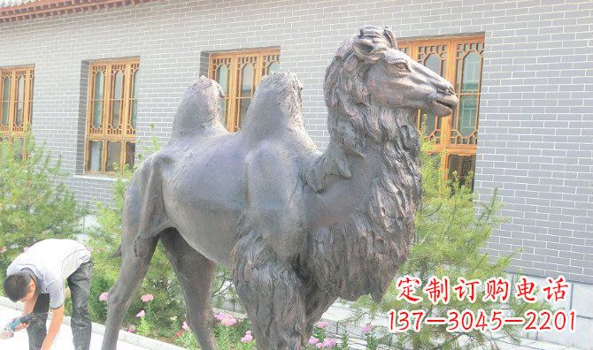 太原骆驼公园动物铜雕 (2)