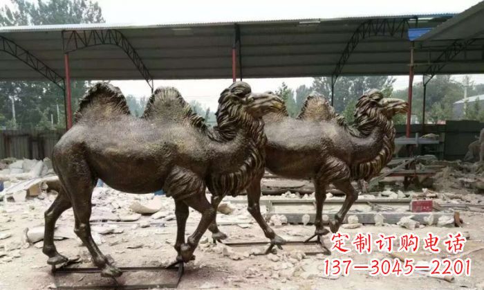 太原典雅优美的骆驼铜雕