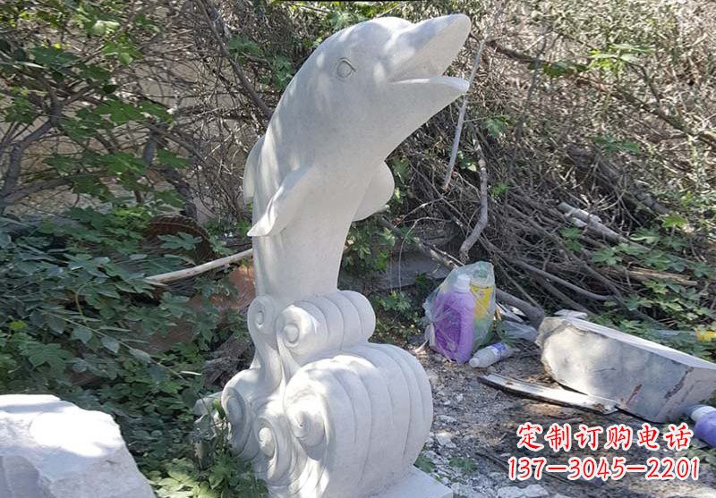 太原海豚雕塑:悠闲无比的精灵