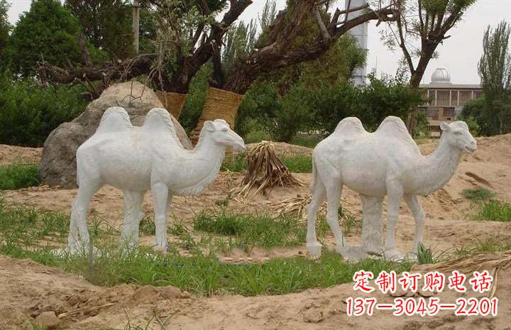 太原欣赏大自然,石雕骆驼公园动物雕塑邀请您
