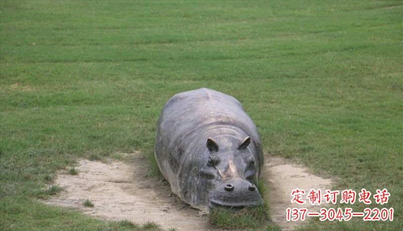 太原铜雕趴着的河马