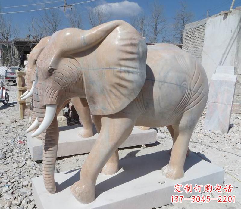 太原晚霞红卷鼻大象