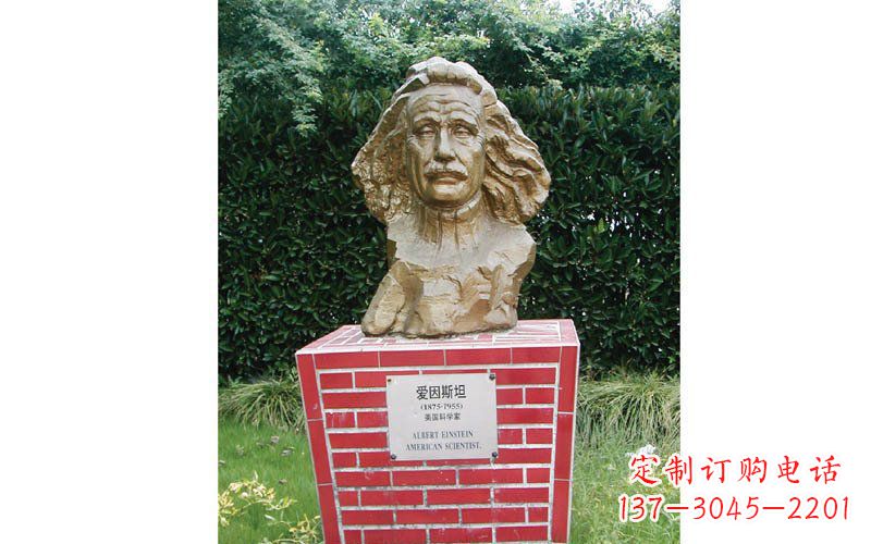 太原西方名人爱因斯坦头像铜雕