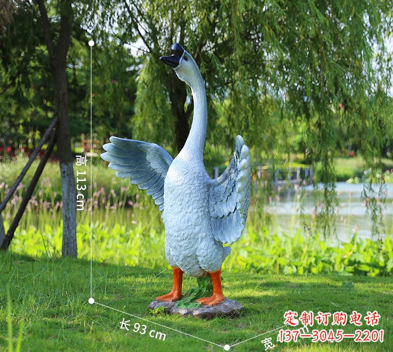 太原站立的灰色展翅天鹅